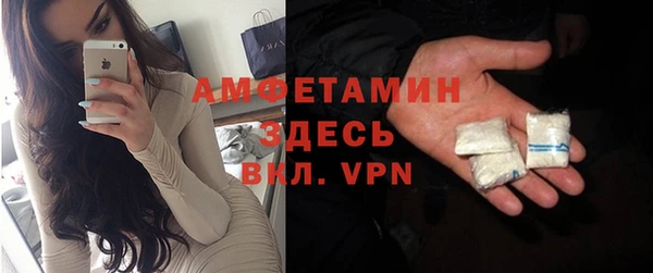прущие грибы Новозыбков