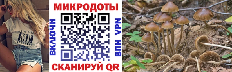 Псилоцибиновые грибы GOLDEN TEACHER  как найти   Пучеж 